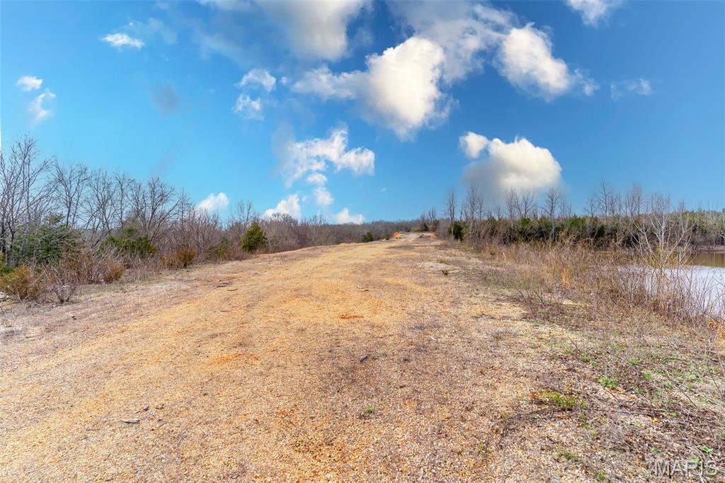Photo 45