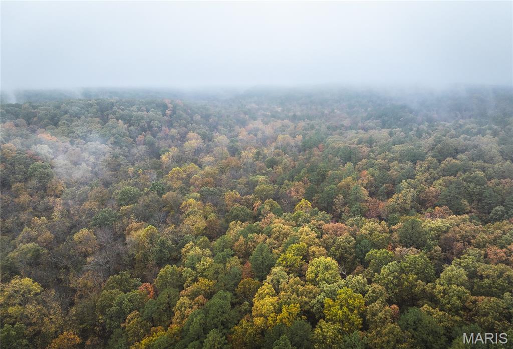 0 Lodge Tract 3A Road Bourbon Missouri home for sale listed at $99,900