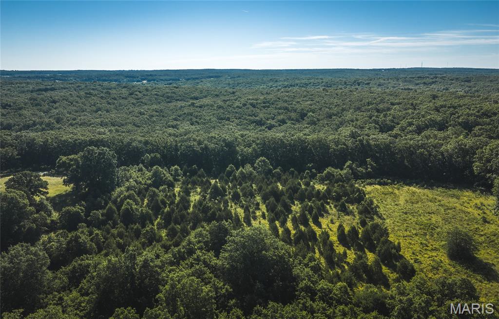 Front exterior — 9.93 acres State Route B St James Missouri real estate