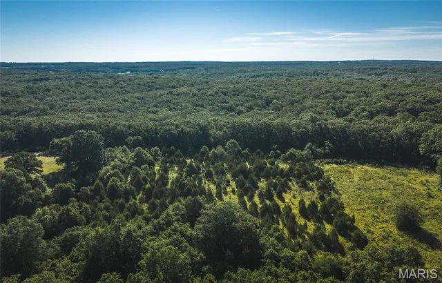 Front exterior — 9.93 acres State Route B St James Missouri real estate