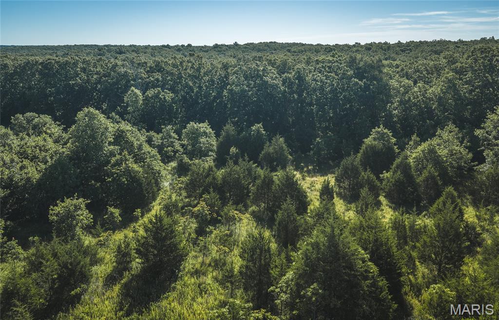 Primary bedroom — 9.93 acres State Route B St James Missouri real estate