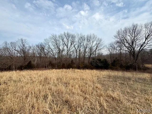 Kitchen — 000 Hwy M Tract F Cabool Missouri real estate