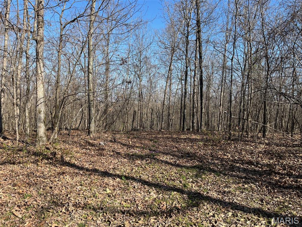 Tract #1 Lake Road Silva Missouri home for sale listed at $87,500