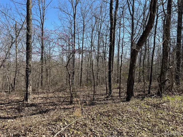 Tract #4 Lake Road, Silva MO