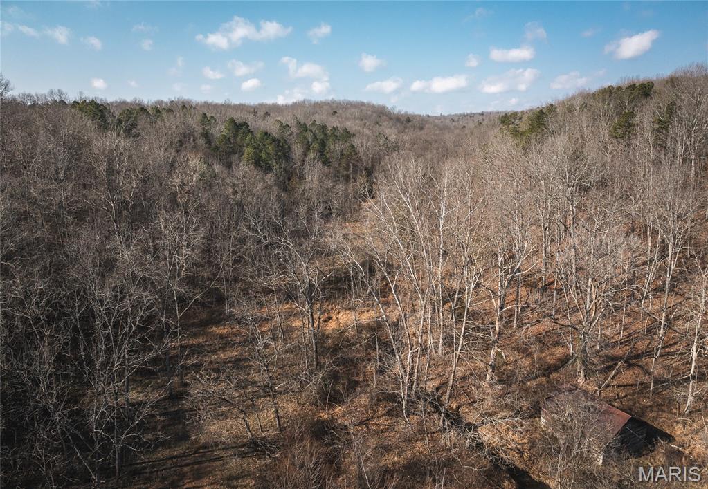 0000 County Road 404, Tract 2 Ellington Missouri home for sale listed at $40,250