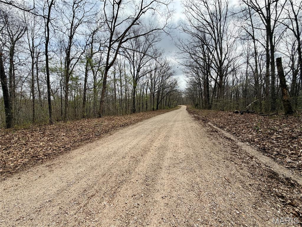 0 TBD CR 4280 Salem Missouri home for sale listed at $79,900
