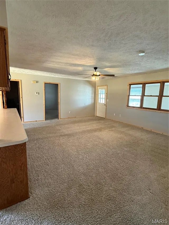 Living room — 12223 Nodaway Lane Plato Missouri real estate