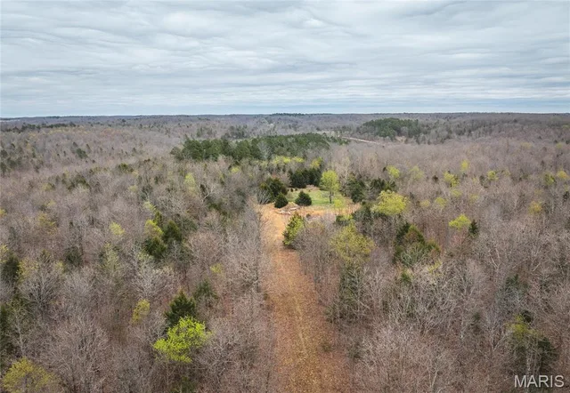 000 County Road 2660, Mountain View MO real estate