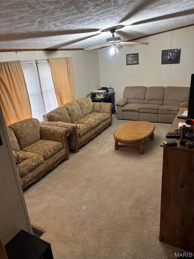 Primary bedroom — 3811 Highway 137 Elk Creek Missouri real estate
