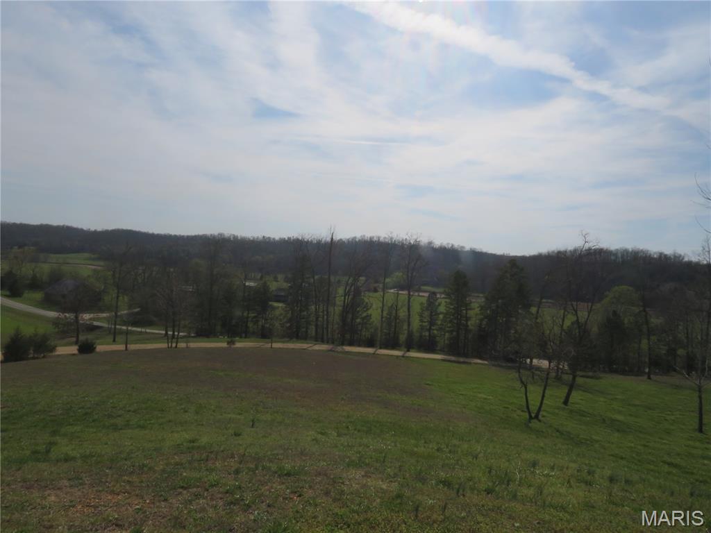 Photo 41