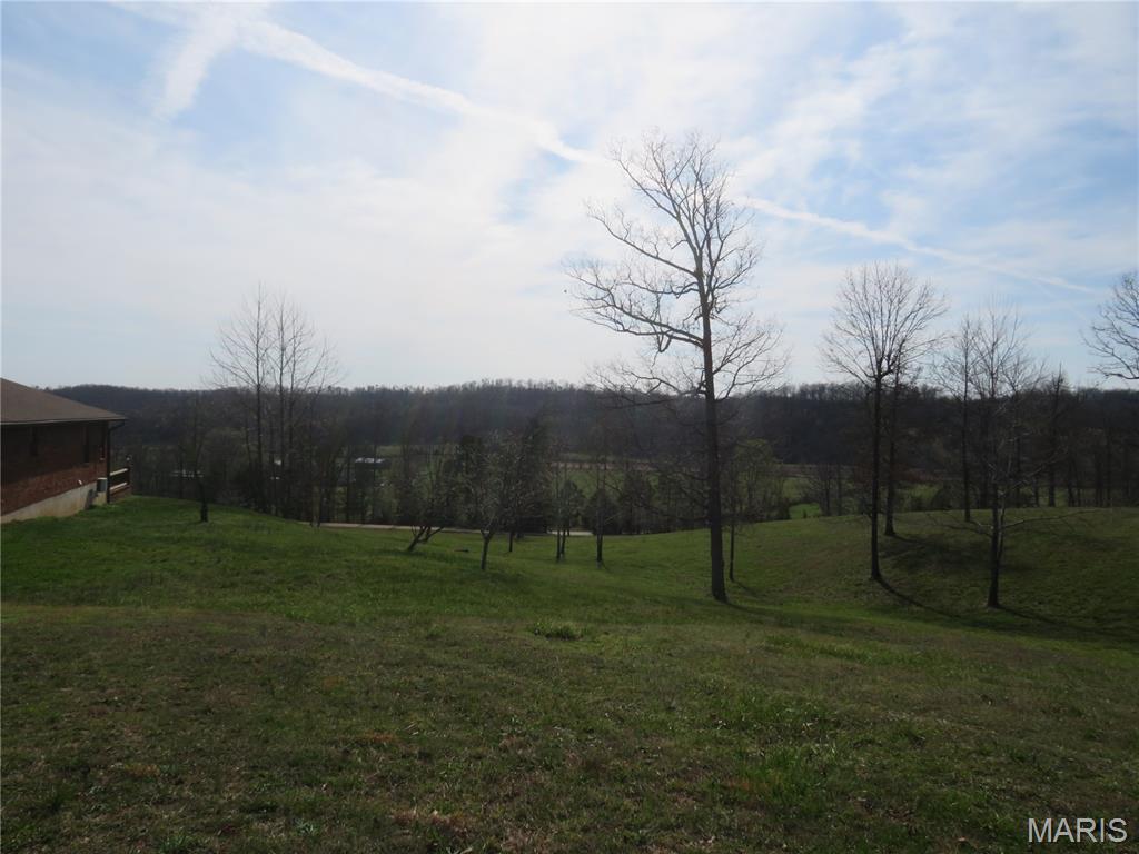 Photo 44