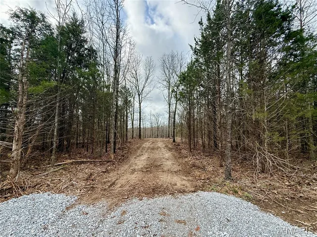 Front exterior — 000 Highway CC Tract A Licking Missouri real estate