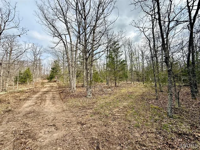 Kitchen — 000 Highway CC Tract A Licking Missouri real estate
