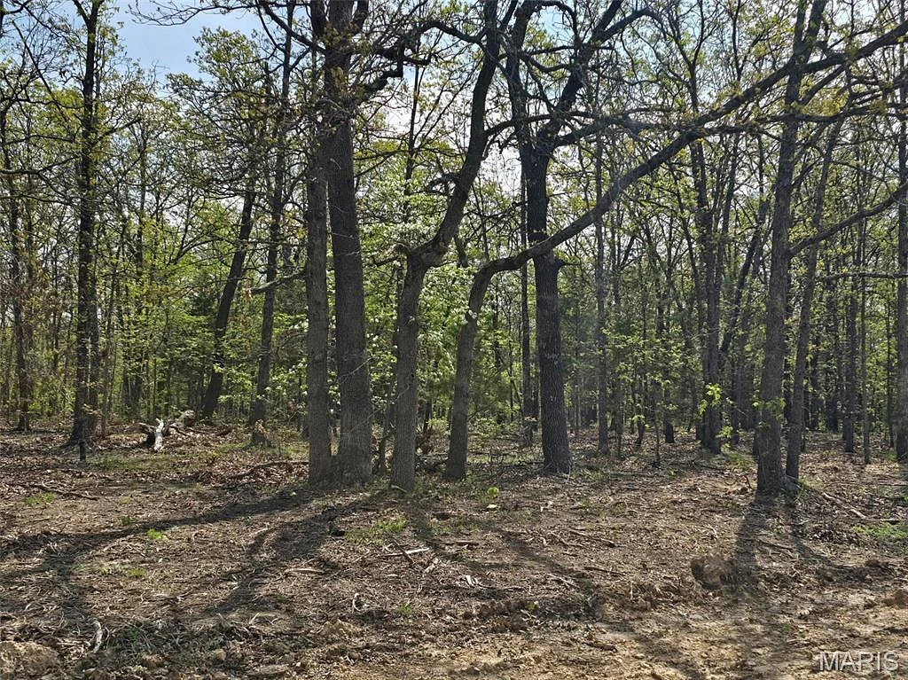 Tract L Greatview Lane, Lebanon MO