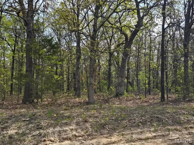 Primary bedroom — Tract Q Galaxy Lane Lebanon Missouri real estate