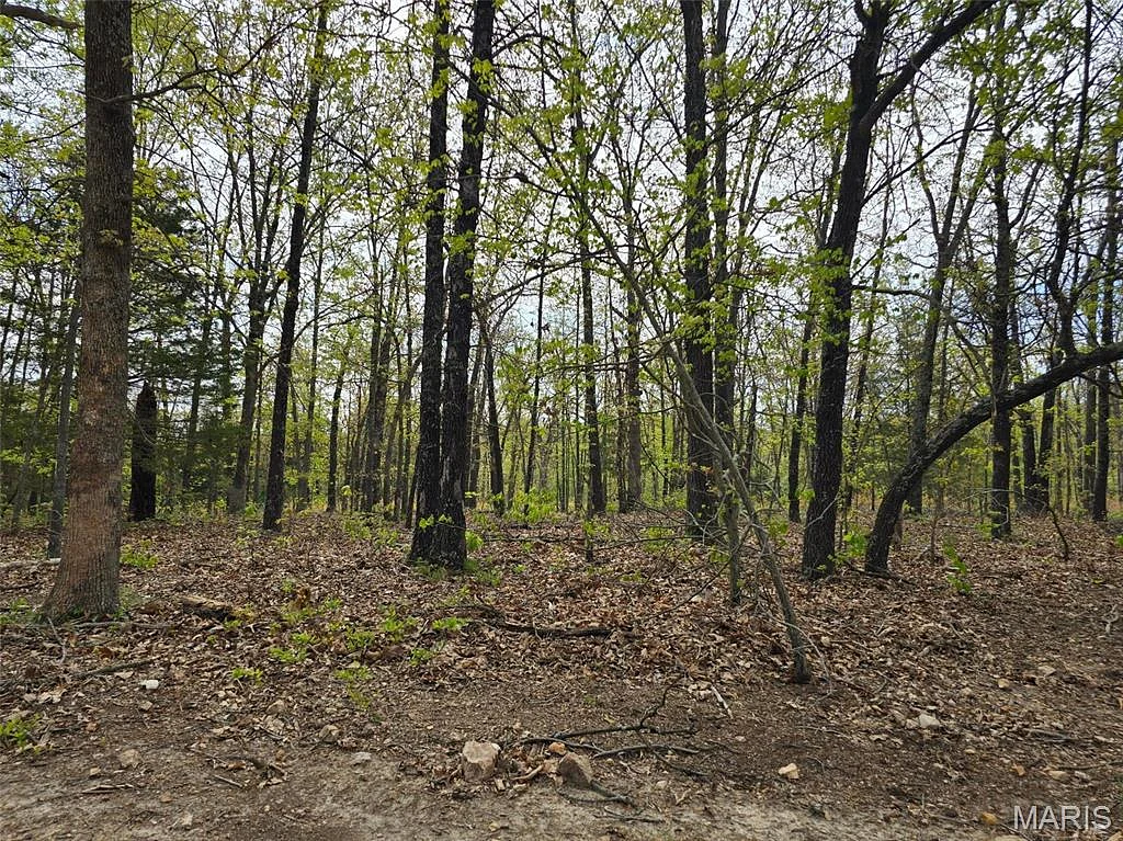 Tract M Greatview Lane, Lebanon MO