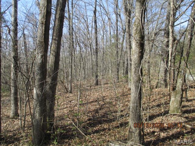 Primary bedroom — Lot # 8 PCR 910 Perryville Missouri real estate