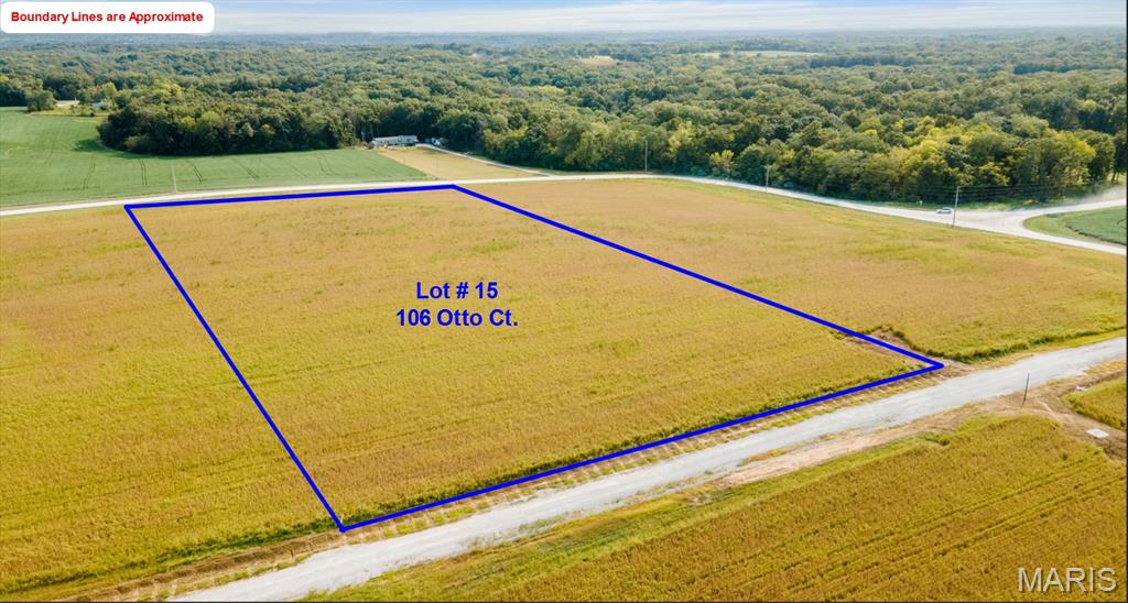 106 Otto Court Silex Missouri home for sale listed at $99,000