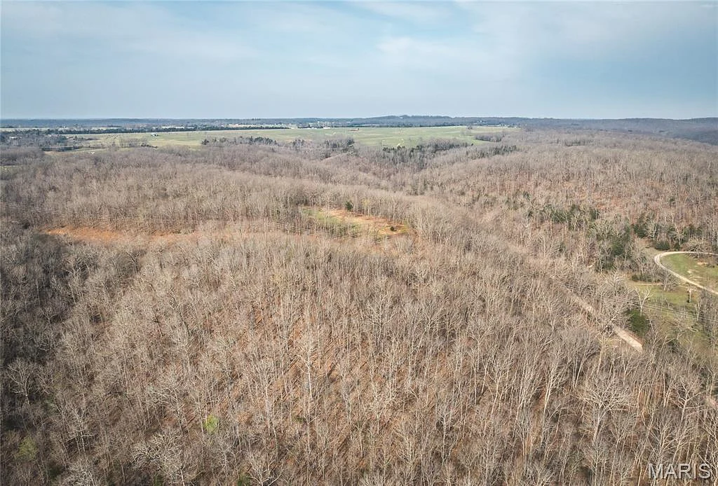 12980 Canyon Road, Dixon MO real estate