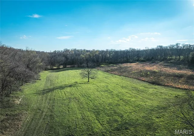 Living room — TBD County Road 3600 St James Missouri real estate