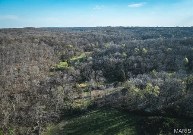 Primary bedroom — TBD County Road 3600 St James Missouri real estate