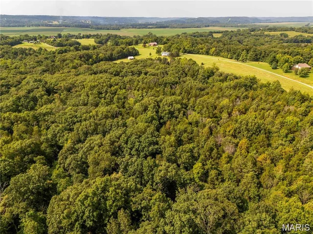 Primary bedroom — 15 Ac Brown Road Hermann Missouri real estate