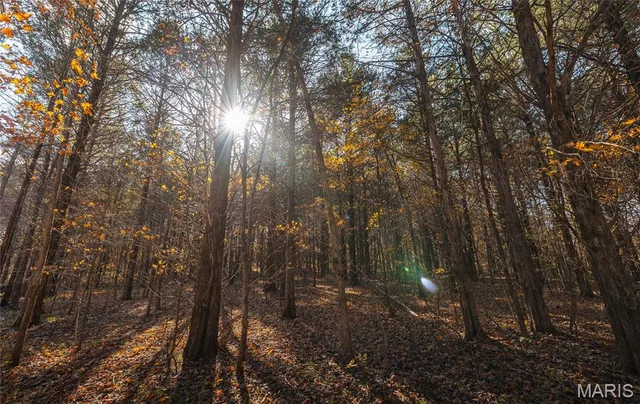 Living room — 0 Highway 21 Lot 1 Lesterville Missouri real estate