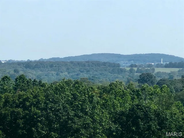 Front exterior — 000 M- Girlstown Road Mountain Grove Missouri real estate
