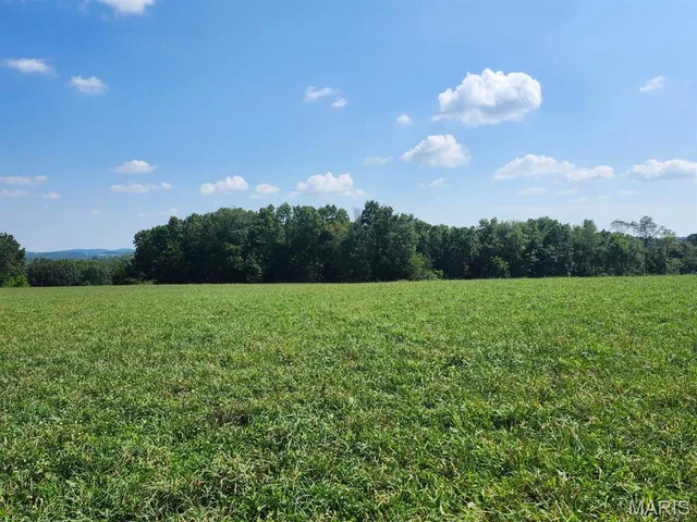 Primary bedroom — 000 M- Girlstown Road Mountain Grove Missouri real estate