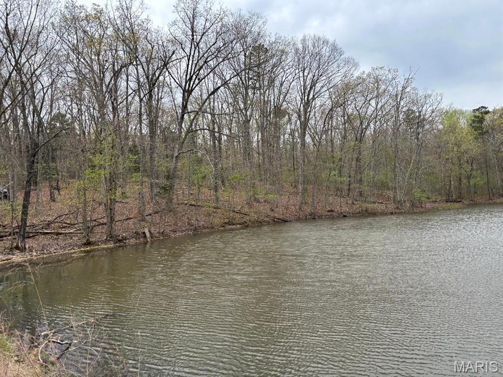 000 W State Highway 8 Potosi Missouri home for sale listed at $259,300