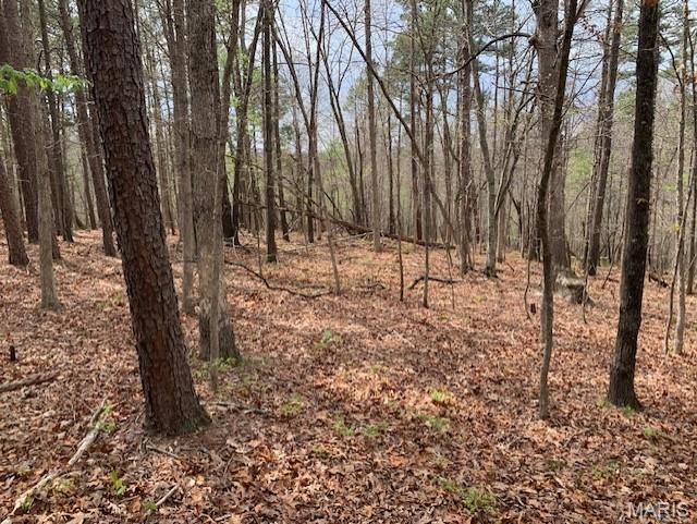 Primary bedroom — 0 County Rd 229 Fredericktown Missouri real estate