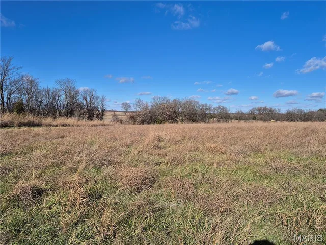 Primary bedroom — 0 County Road 197 - Tract 7 (11+/- Acres) Williamsburg Missouri real estate