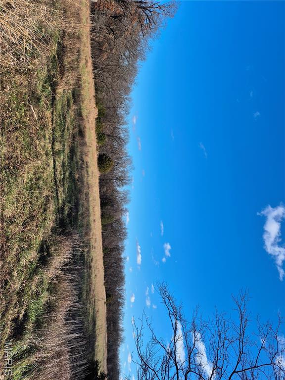Living room — 0 County Road 197 - Tract 8 (14+/- Acres) Williamsburg Missouri real estate