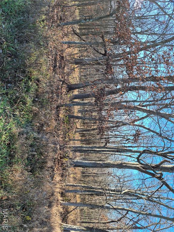 Living room — 0 County Road 197 - Tract 9 (16+/- Acres) Williamsburg Missouri real estate