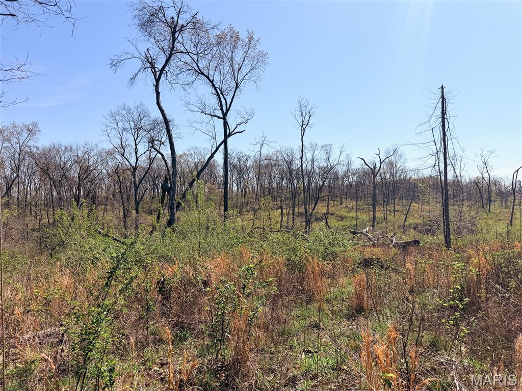 Photo 43