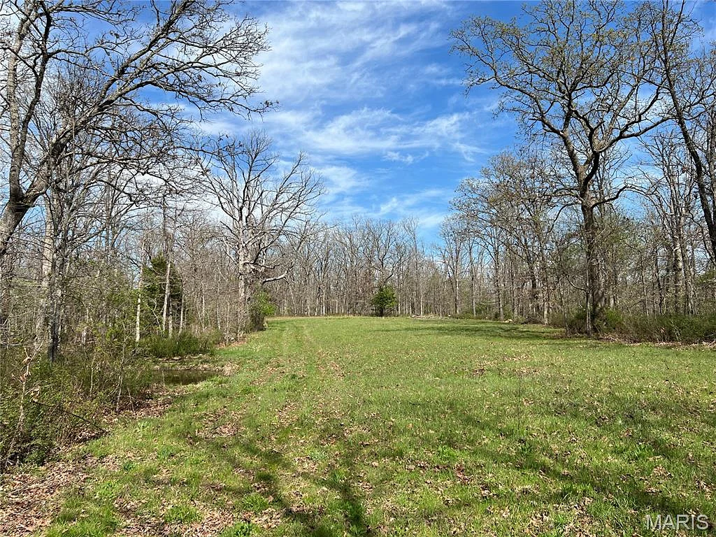 24755 MAYAPPLE Lane, Lebanon MO real estate