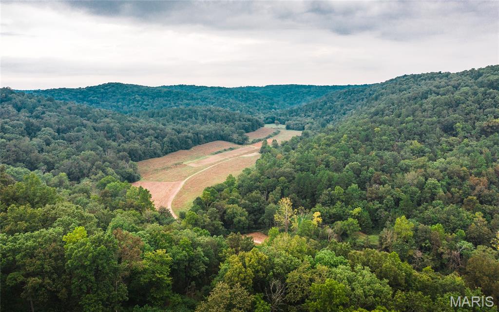 32315 County Road 325, Eminence MO real estate