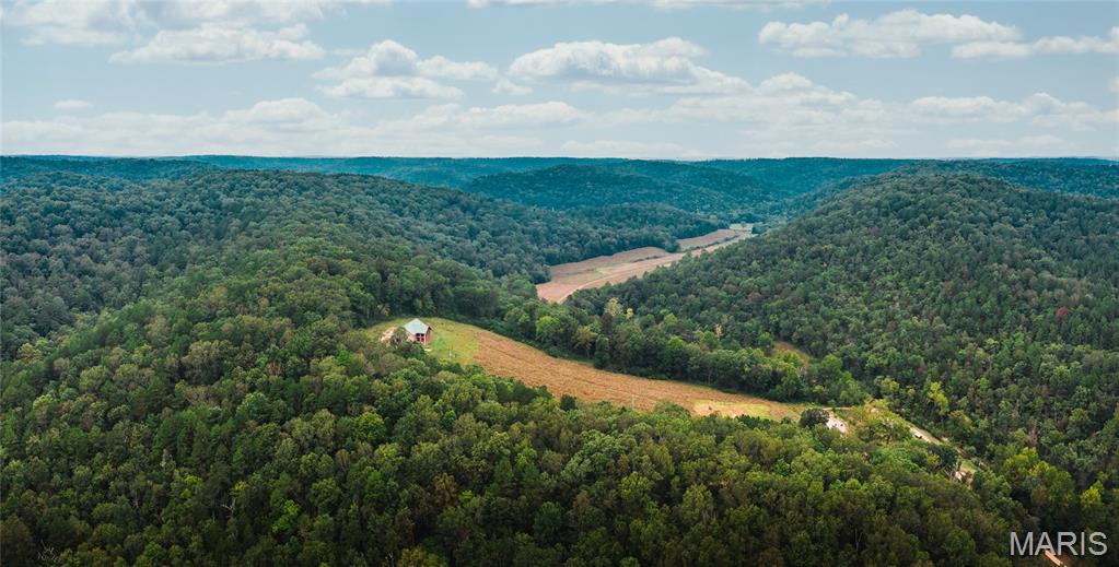 Photo 58