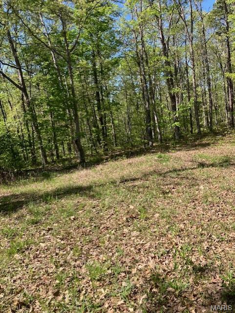 12 W State Highway 8 Potosi Missouri home for sale listed at $110,995