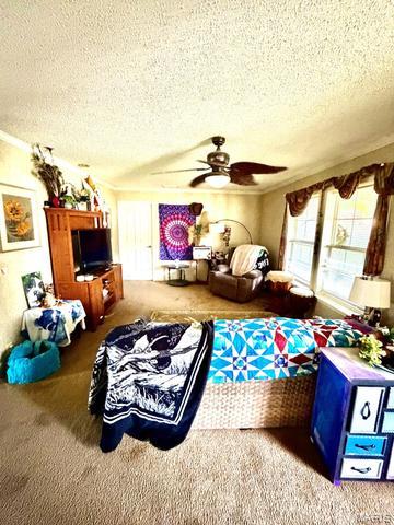 Primary bedroom — 25755 Webb Lane Summersville Missouri real estate