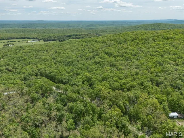 Kitchen — 1 Buck Mountain Road Doe Run Missouri real estate