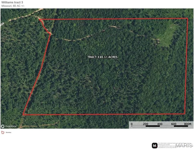 Primary bedroom — 000 County Road 19-208 Tract 3 Eminence Missouri real estate