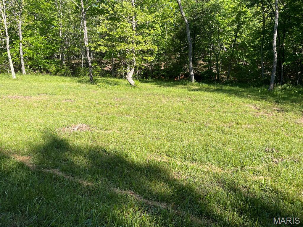 Photo 33