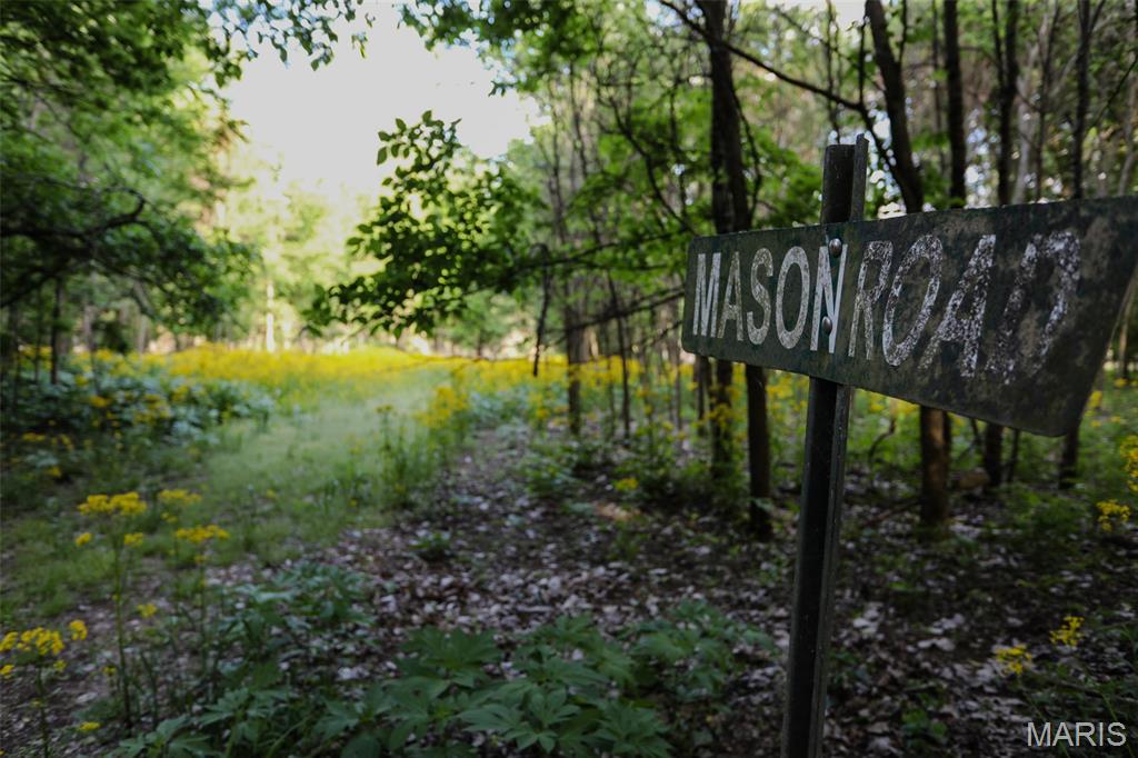 Photo 41