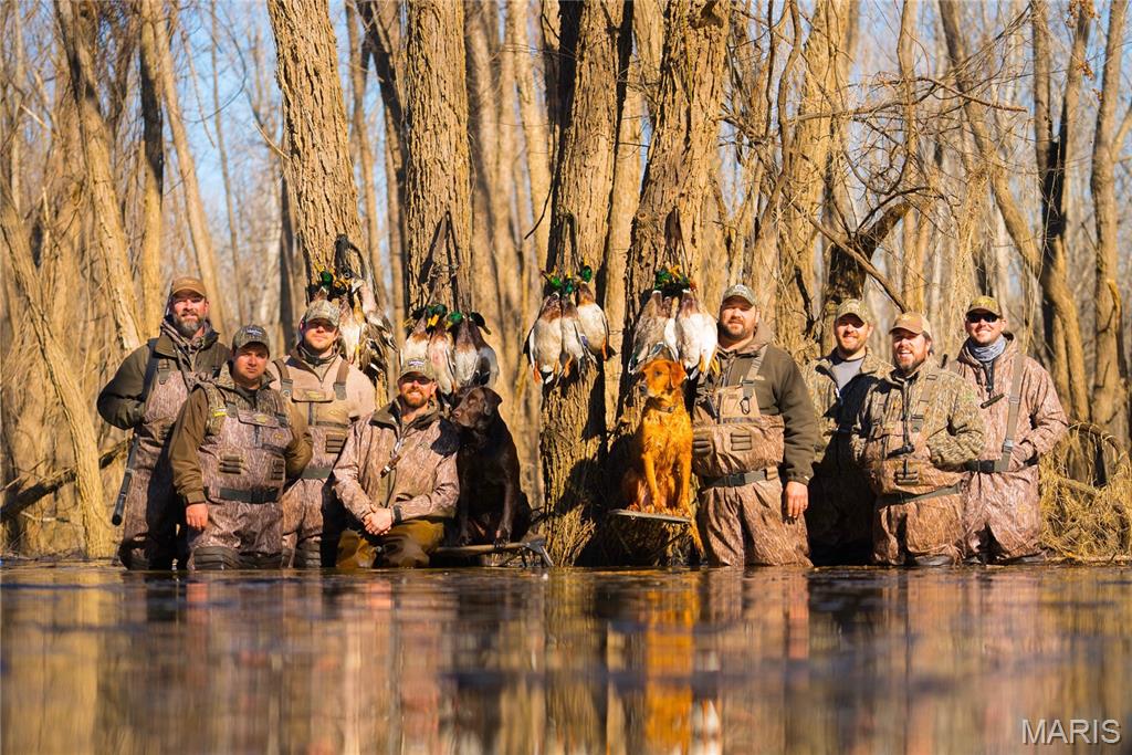 Photo 88