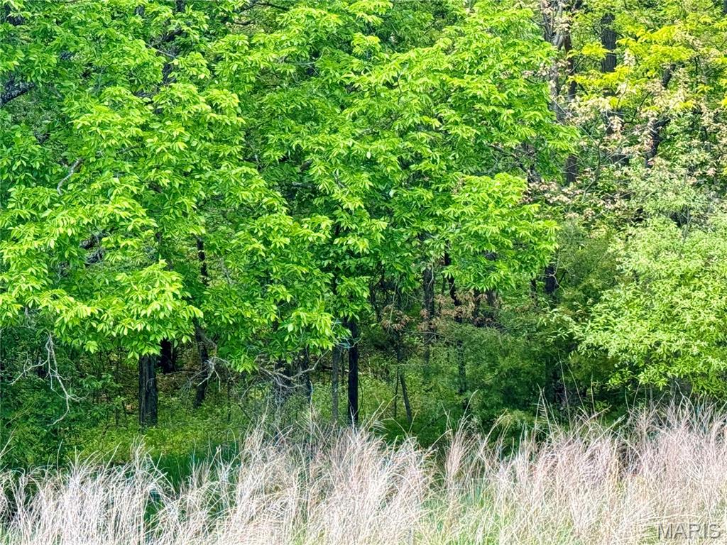 Photo 32