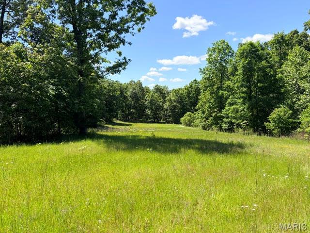 1 Ripley Route V Doniphan Missouri home for sale listed at $349,000
