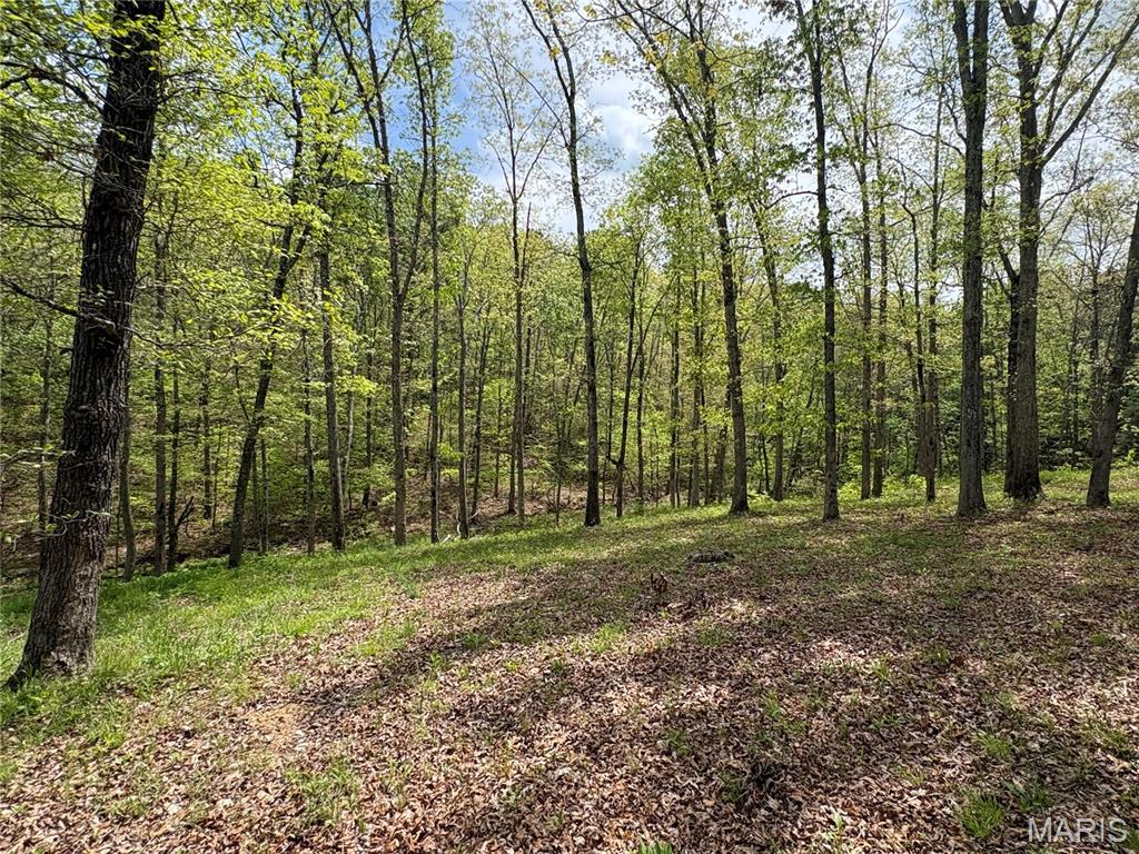 10405 County Road 700, Centerville MO real estate
