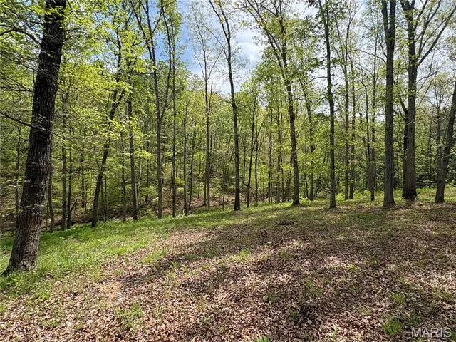 10405 County Road 700, Centerville MO real estate