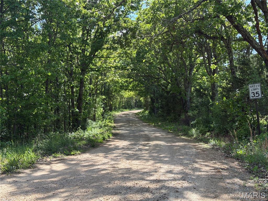 4215 Tract 2 COUNTY RD 4215 Salem Missouri home for sale listed at $48,900